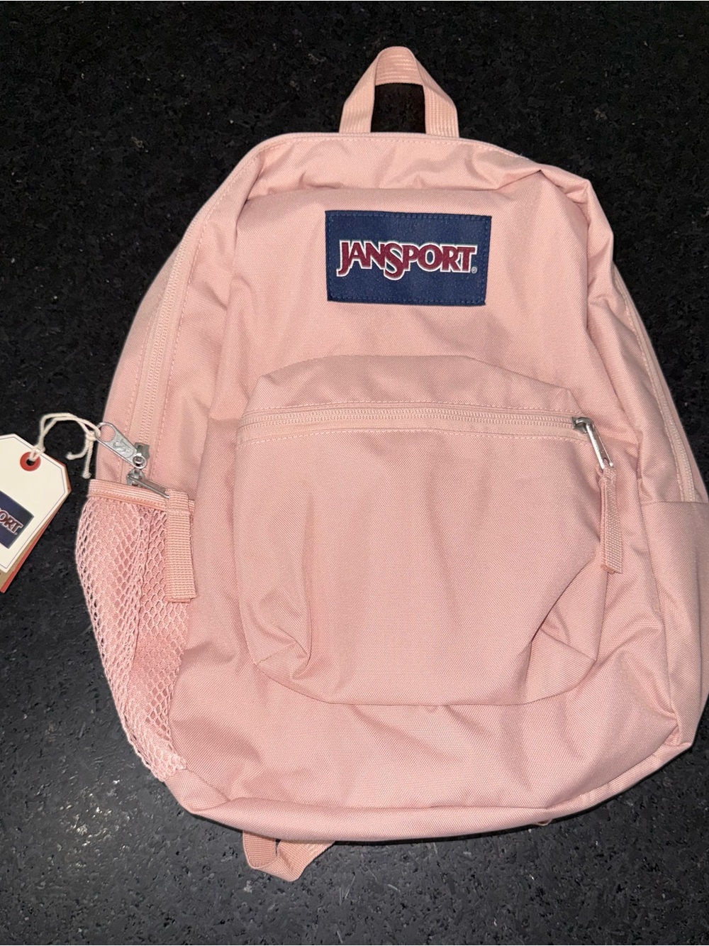 NEW JANSPORT TRANSPORT PACK MISTY ROSE BLUSH PINK 20 L Everyday Backpack NWT - Picture 2 of 10